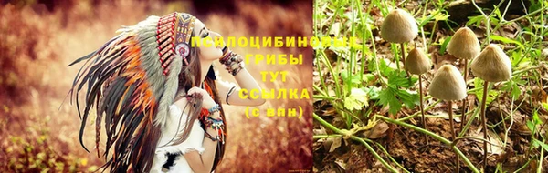 гашик Арсеньев