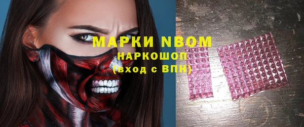 гашик Арсеньев