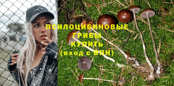 гашик Арсеньев