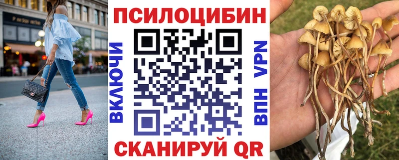 продажа наркотиков  OMG ссылки  Галлюциногенные грибы прущие грибы  Камызяк 